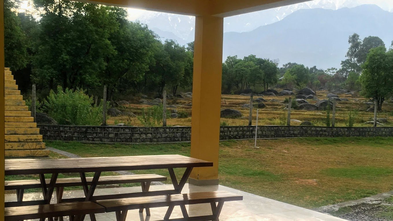Palampur surroundings nature tea gardens volunteer