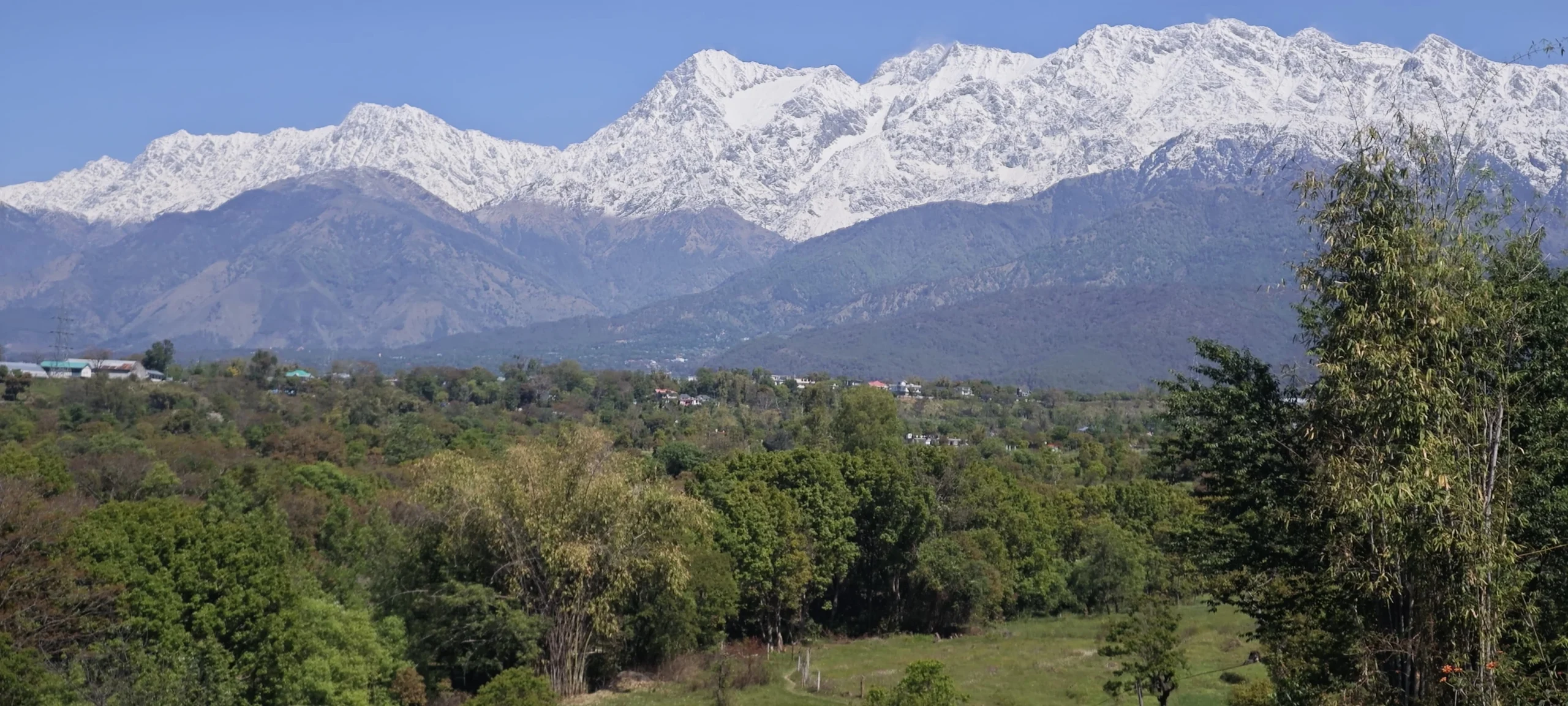 Volunteer accommodation facility Vaishalya Healing Palampur Himachal Pradesh